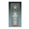 AW1920: Starlight Pillar Award