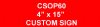 CSOP60: 4" x 15" Custom Sign